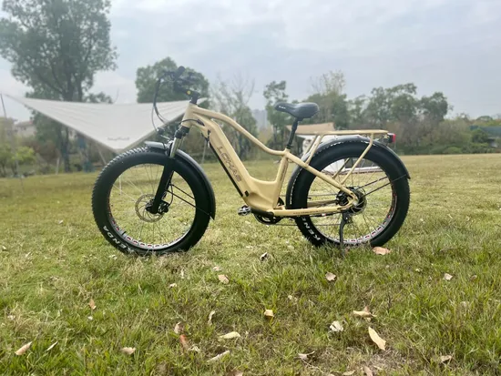 MTB Fat Tire 26*4.0 350W*2 Double Hub Motors electric Bike