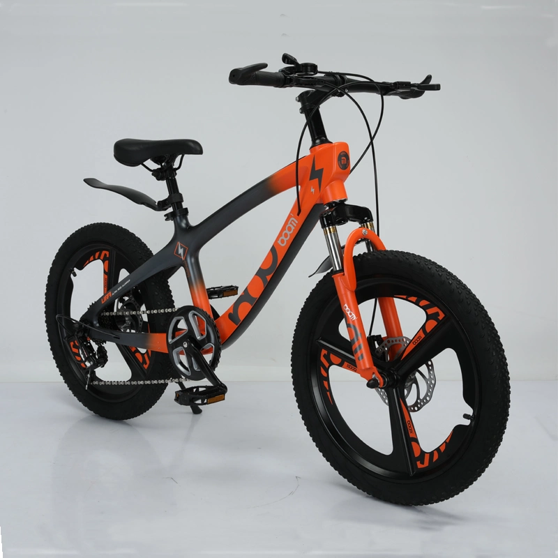 20 Inch Mountain Bike Mg Alloy Frame Suspension Bicycle Hebei Factory