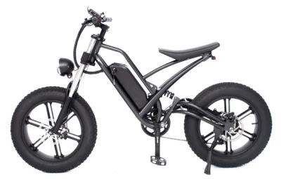 MID Drive Bafang Motor 7-Gang MTB Fat Tire Offroad Электрический горный велосипед с полной подвеской Snow Cruiser E Bike с литиевыми батареями