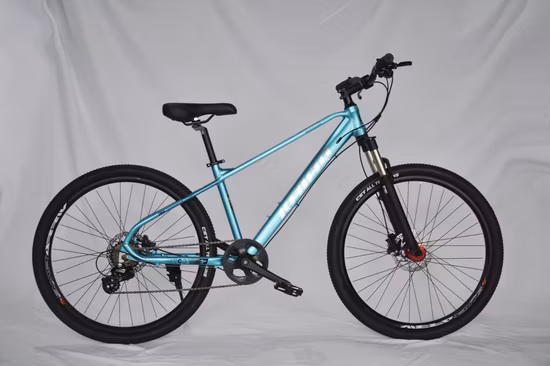 20-26 дюймов Дешевый и конкурентоспособный горный велосипед MTB для детей и взрослых.